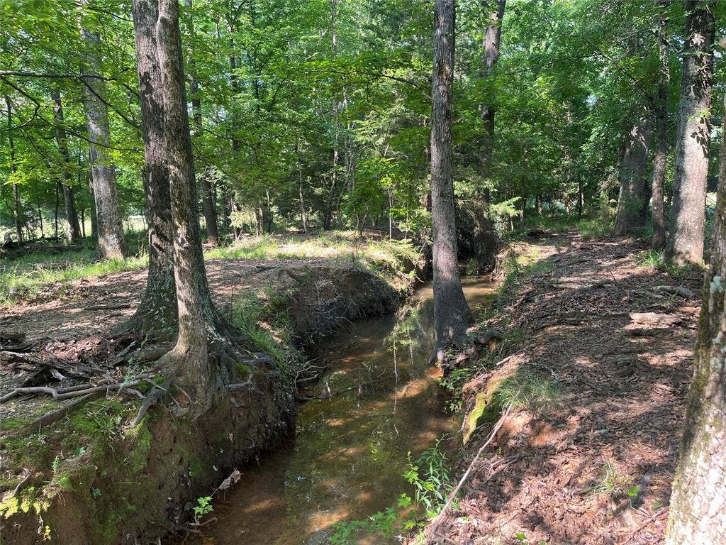 TBD Hwy 135, Troup, TX 75789 TBD Hwy 135, Troup, TX 75789