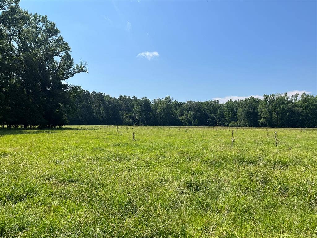 TBD Hwy 135, Troup, TX 75789 TBD Hwy 135, Troup, TX 75789