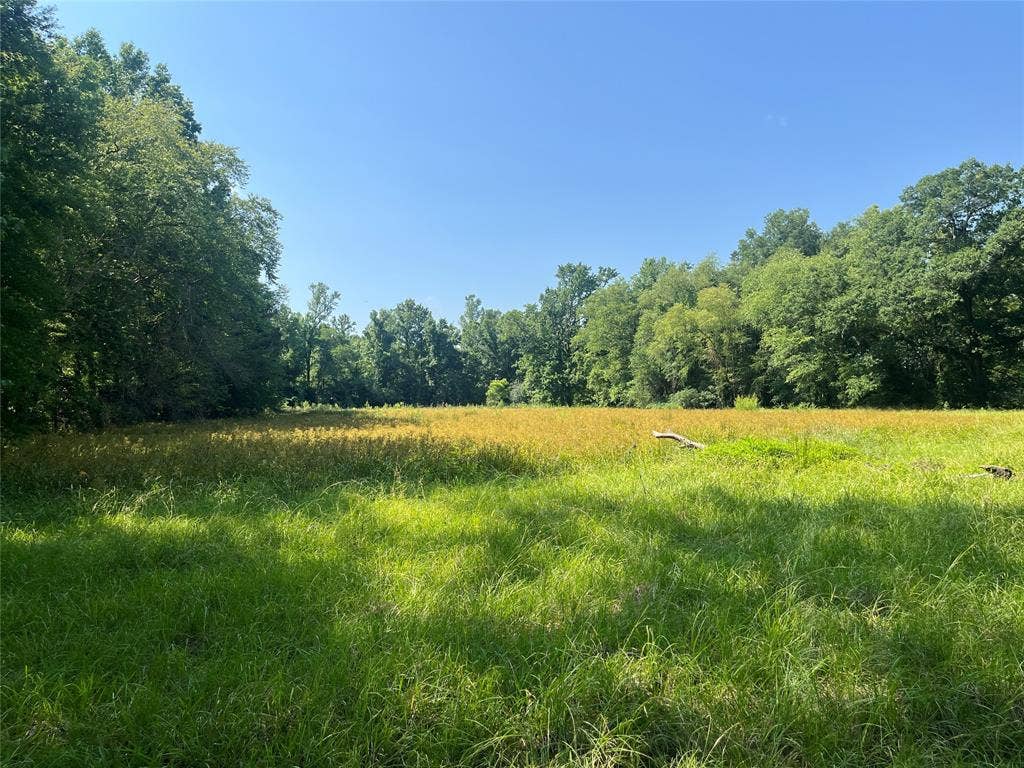TBD Hwy 135, Troup, TX 75789 TBD Hwy 135, Troup, TX 75789
