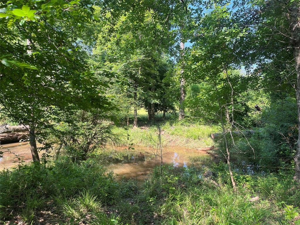 TBD Hwy 135, Troup, TX 75789 TBD Hwy 135, Troup, TX 75789