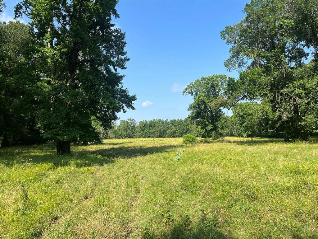 TBD Hwy 135, Troup, TX 75789 TBD Hwy 135, Troup, TX 75789