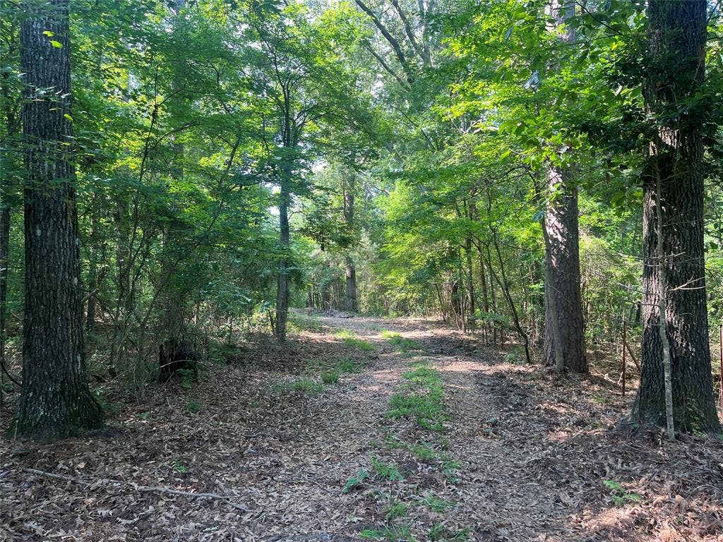 TBD Hwy 135, Troup, TX 75789 TBD Hwy 135, Troup, TX 75789