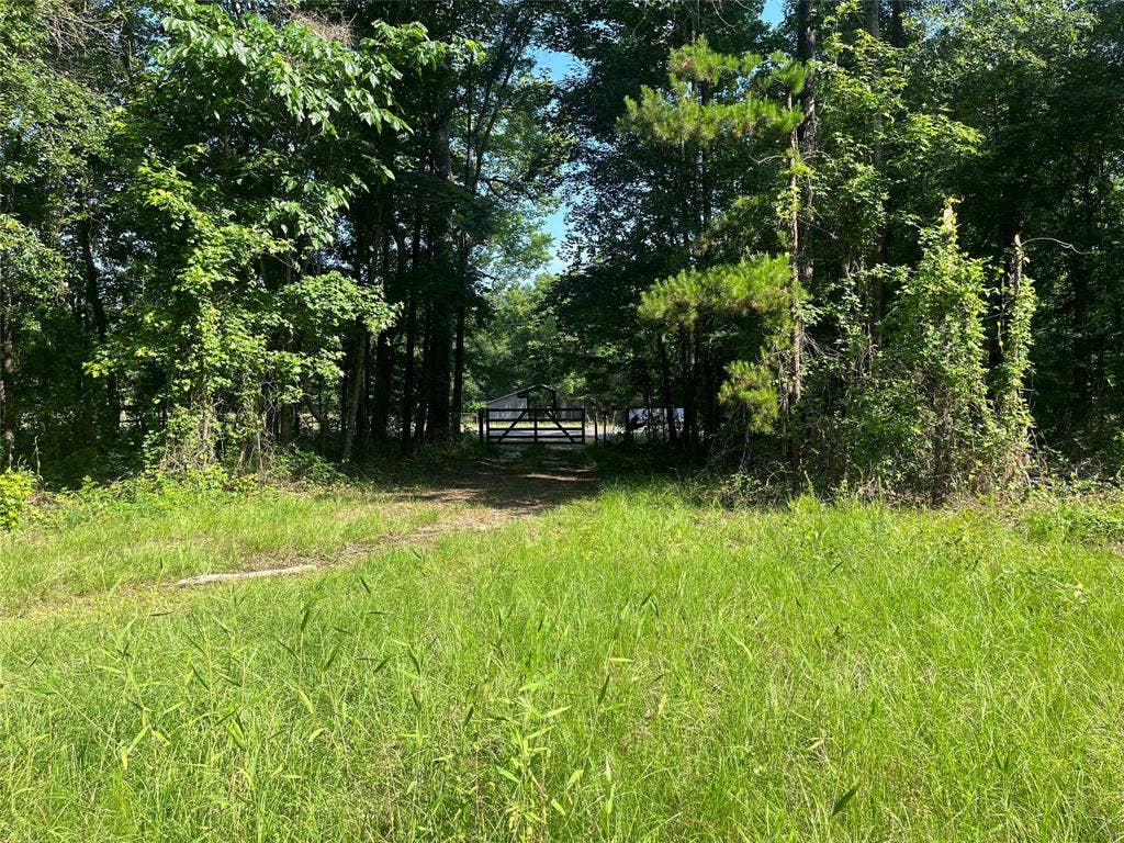 TBD Hwy 135, Troup, TX 75789 TBD Hwy 135, Troup, TX 75789