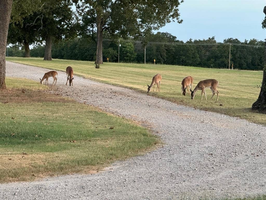 9748 County Road 1200, Athens, TX 75751 9748 County Road 1200, Athens, TX 75751