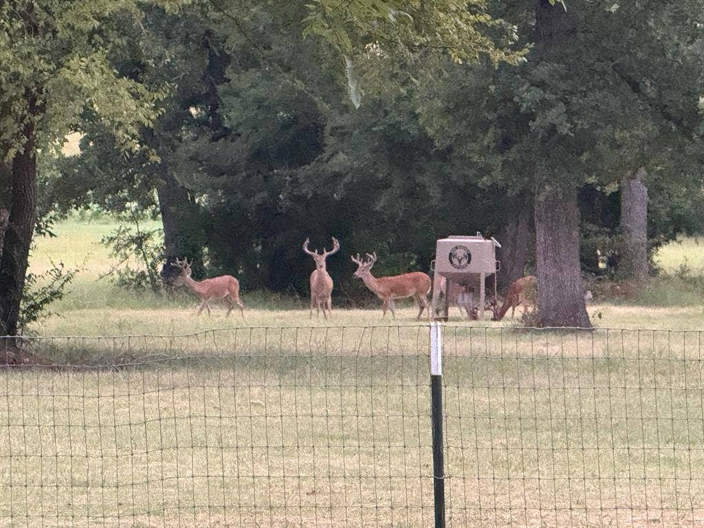 9748 County Road 1200, Athens, TX 75751 9748 County Road 1200, Athens, TX 75751