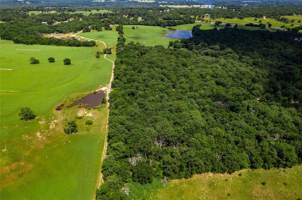 8970 FM 59, Athens, TX 75751 8970 FM 59, Athens, TX 75751