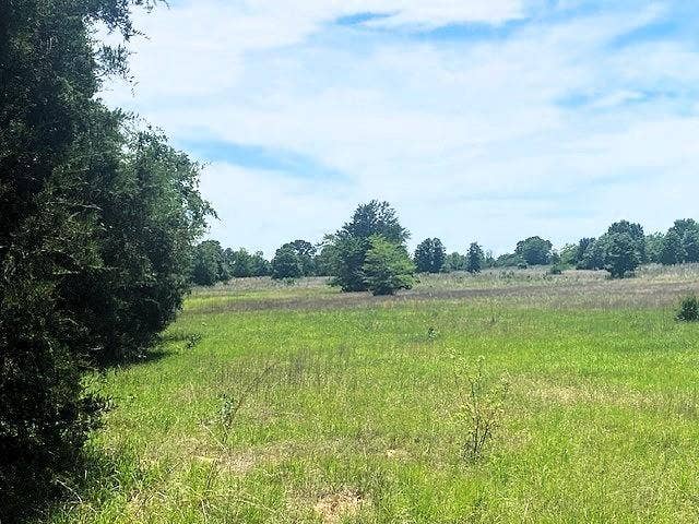 TBD CR 1119, Athens, TX 75751 TBD CR 1119, Athens, TX 75751