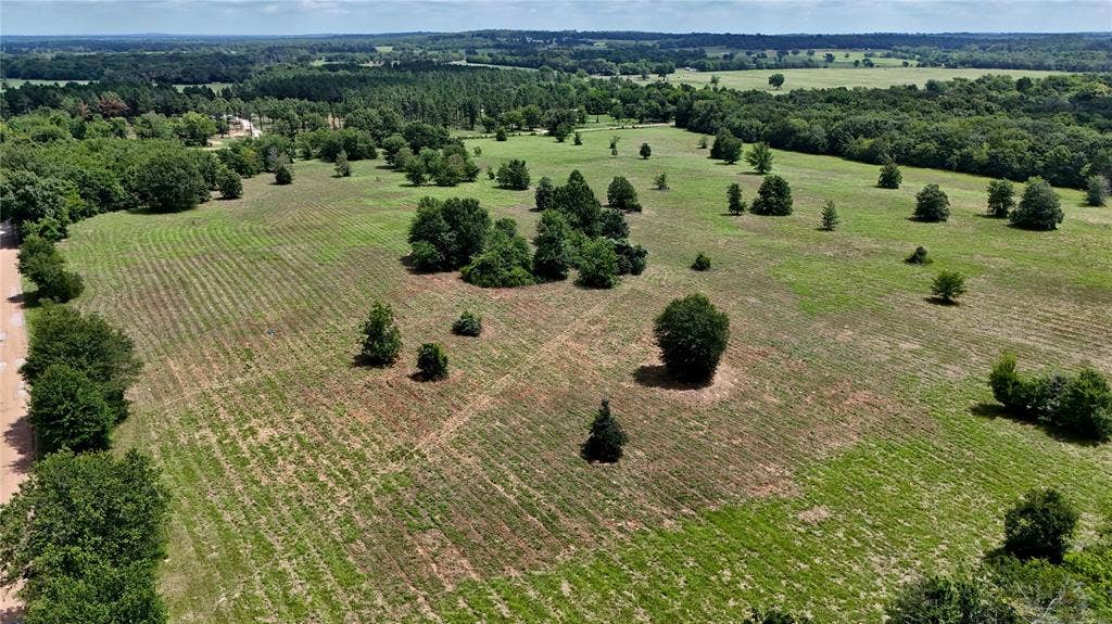 TBD CR 1119, Athens, TX 75751 TBD CR 1119, Athens, TX 75751