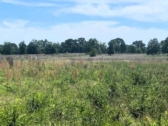 TBD CR 1119, Athens, TX 75751 TBD CR 1119, Athens, TX 75751