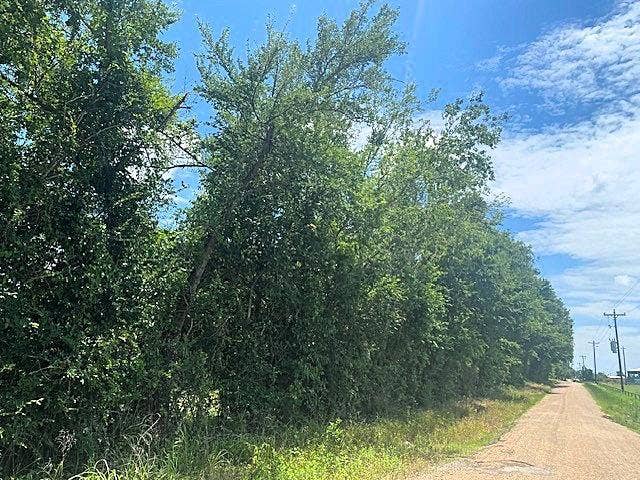 TBD CR 1119, Athens, TX 75751 TBD CR 1119, Athens, TX 75751