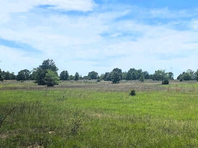 TBD CR 1119, Athens, TX 75751 TBD CR 1119, Athens, TX 75751
