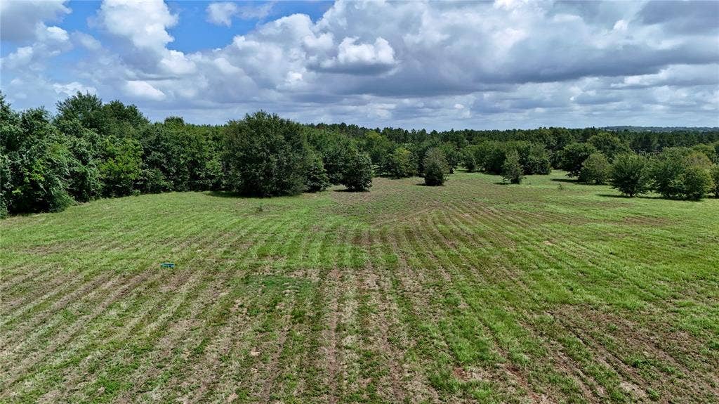 TBD CR 1119, Athens, TX 75751 TBD CR 1119, Athens, TX 75751