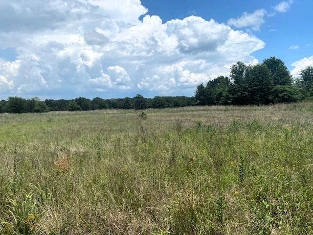 TBD CR 1119, Athens, TX 75751 TBD CR 1119, Athens, TX 75751