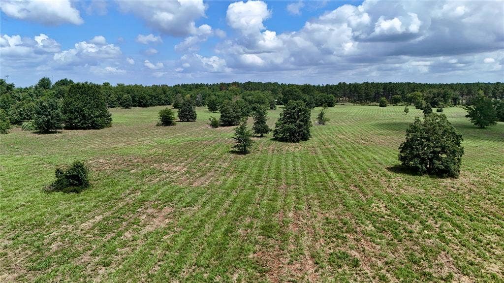TBD CR 1119, Athens, TX 75751 TBD CR 1119, Athens, TX 75751