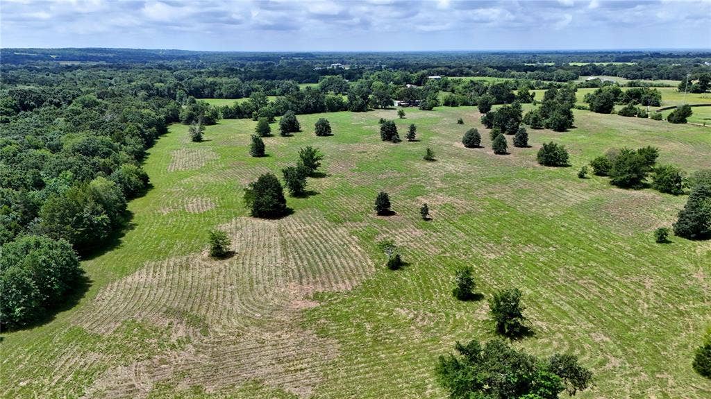 TBD CR 1119, Athens, TX 75751 TBD CR 1119, Athens, TX 75751