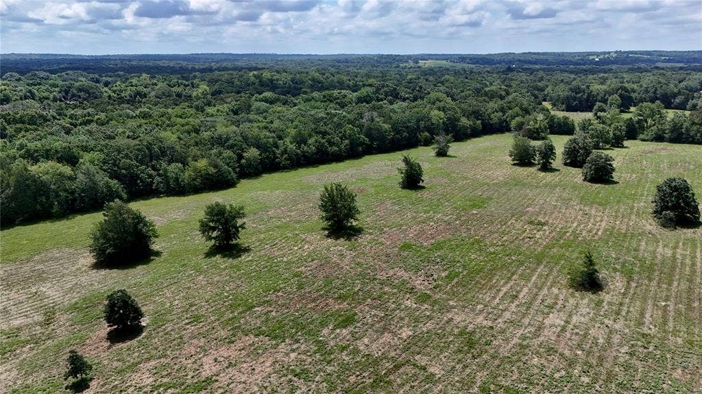 TBD CR 1119, Athens, TX 75751 TBD CR 1119, Athens, TX 75751