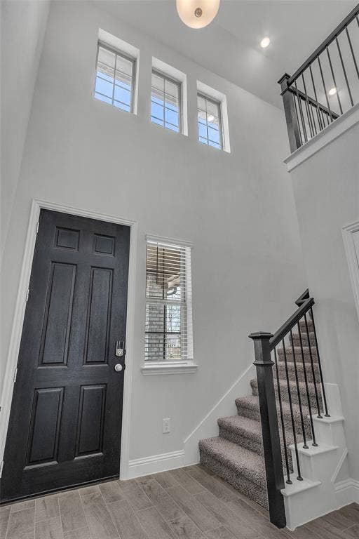 3708 Jan Camille Court, Celina, TX 75009 Foyer with a wealth of natural light, wood-type flooring, and a high ceiling