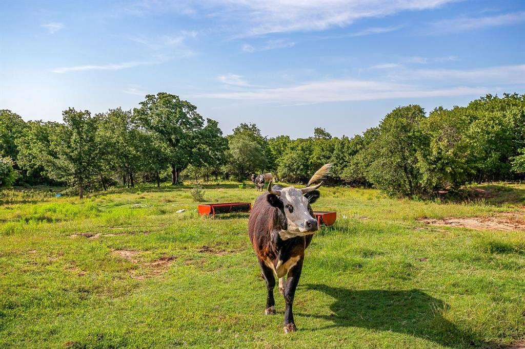 227 Rock Springs Road, Weatherford, TX 76088 227 Rock Springs Road, Weatherford, TX 76088