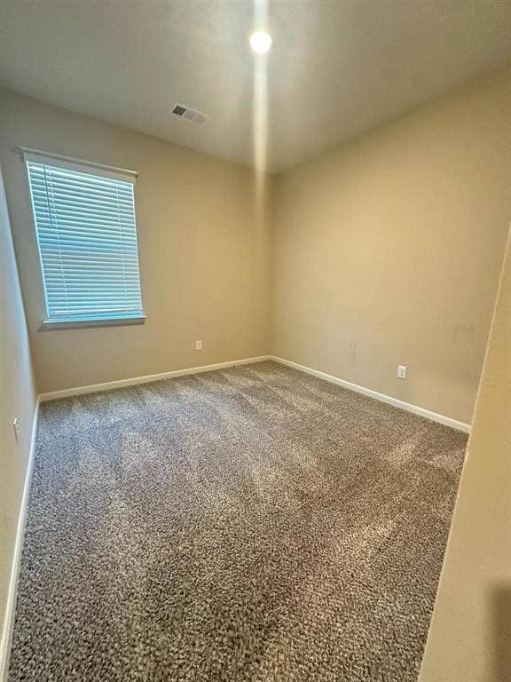 1707 Cotton Blossom Lane, Princeton, TX 75407 Spacious room featuring neutral-toned walls, plush carpet flooring, a window with venetian blinds, and a ceiling-mounted light fixture