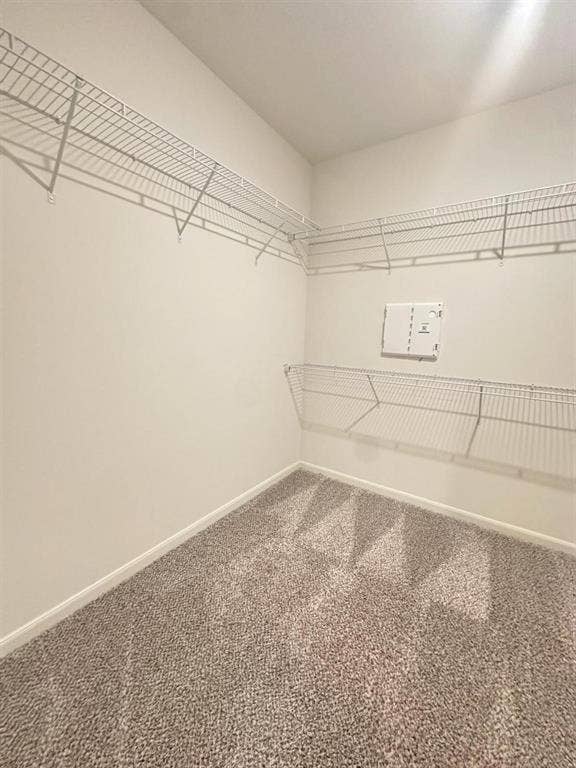 1707 Cotton Blossom Lane, Princeton, TX 75407 Carpeted walk-in closet featuring wire shelving on multiple walls