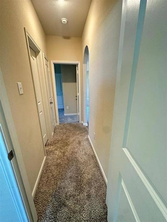 1707 Cotton Blossom Lane, Princeton, TX 75407 Hallway with textured carpeting, neutral wall finishes, white trim, and an arched doorway