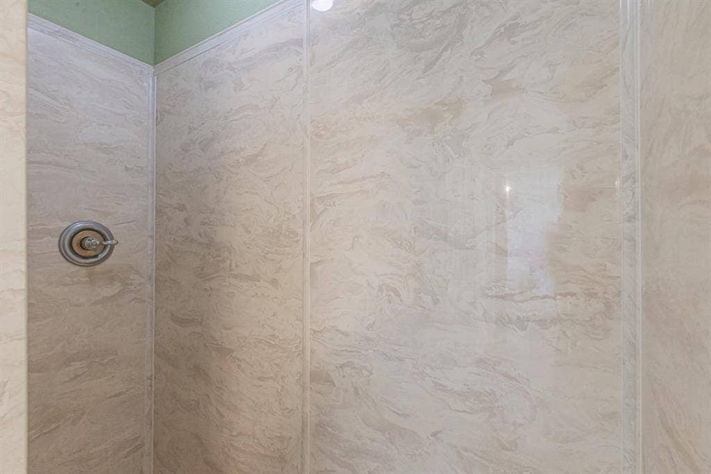 204 S Spring Branch Trail, Springtown, TX 76082 Shower