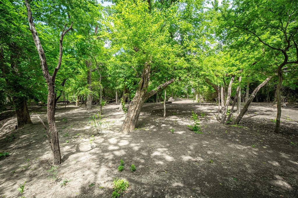 1615 Sara Cove, Lucas, TX 75002 back property