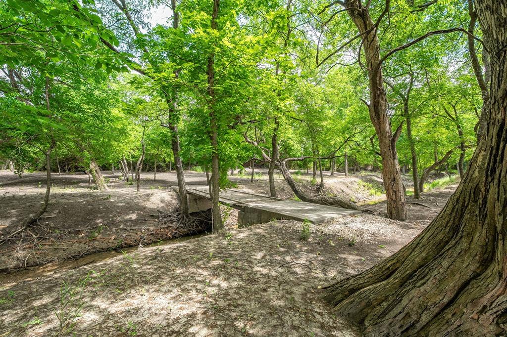 1615 Sara Cove, Lucas, TX 75002 back property