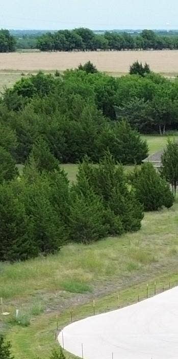 Property photo for tbv Evergreen Way, Nevada, TX