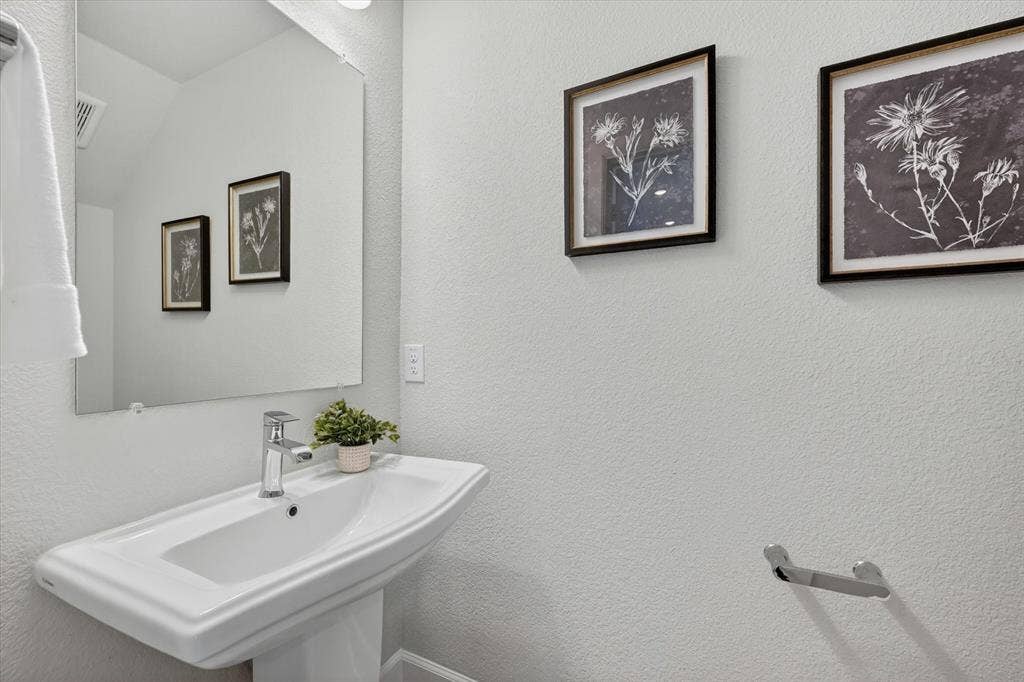 1341 Roundup Way, Argyle, TX 76226 Powder Bath Downstairs