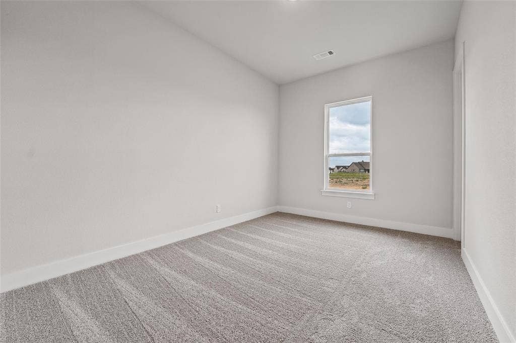 12413 Hornfels Drive, Krum, TX 76249 Neutral wall paint, light-toned patterned carpet, a single window, and white trim
