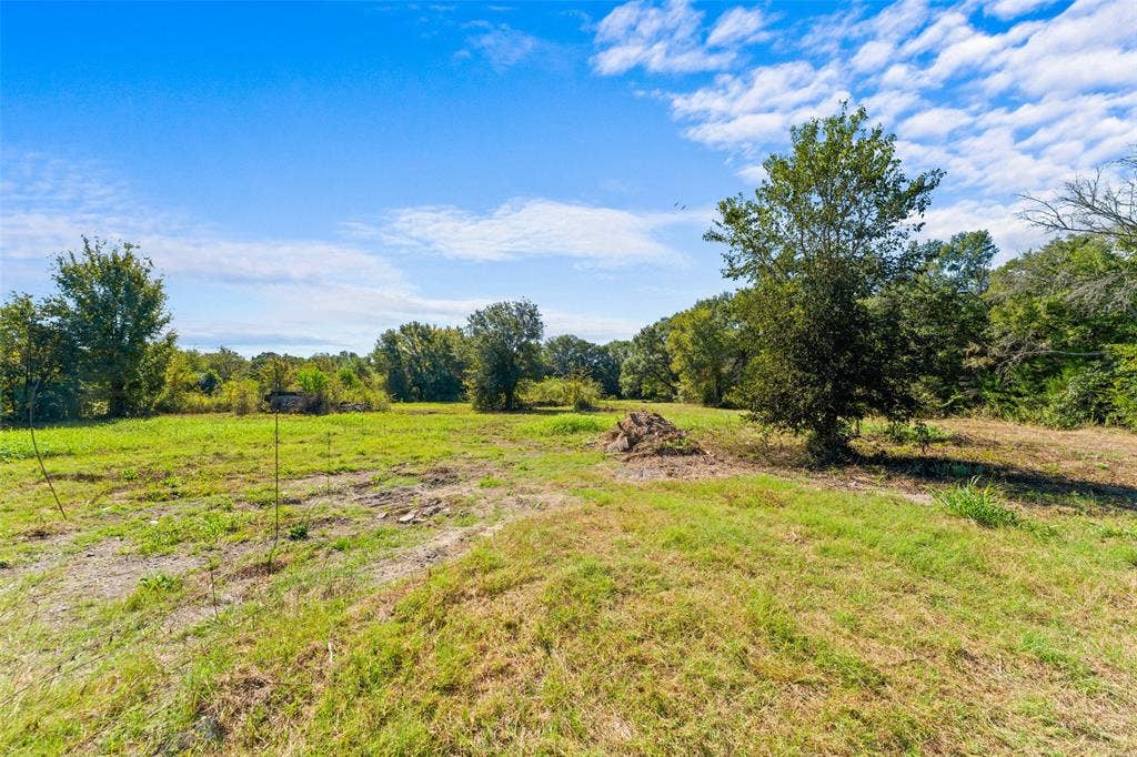 11691 Betty Lane, Kaufman, TX 75142 Expansive undeveloped land featuring mature trees and a clear blue sky