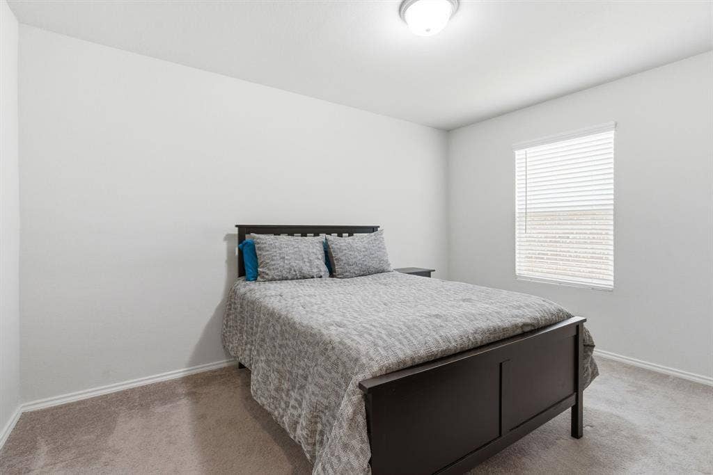 Carpeted room with a single window featuring horizontal blinds and a walk in closet