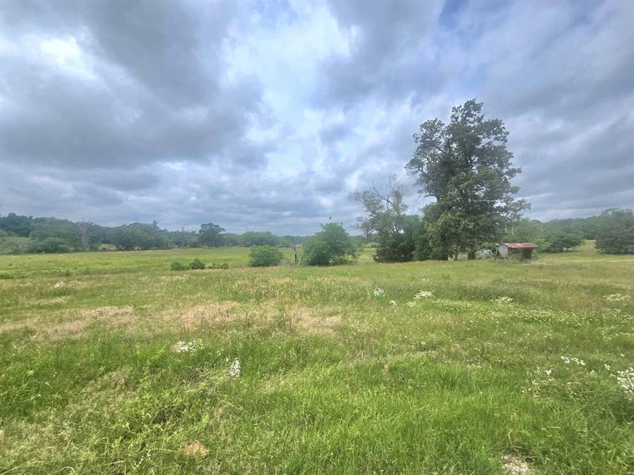 Property photo for TBD County Road 246, Arp, TX