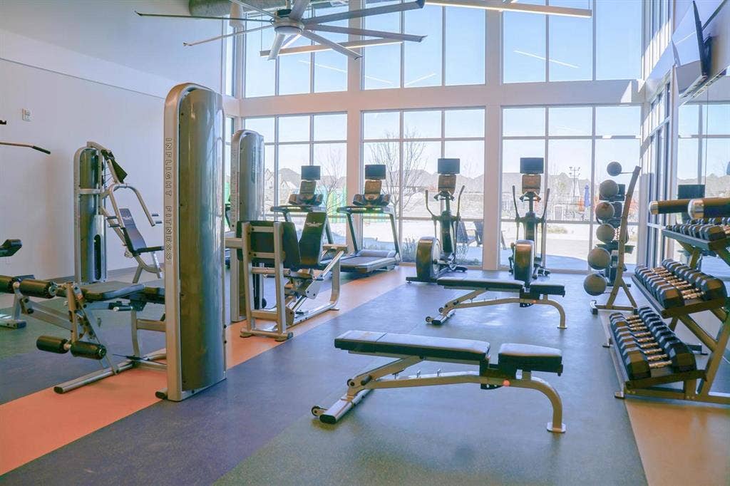 248 Bee Balm Road, McKinney, TX 75071 The Trinity Falls Fitness Center