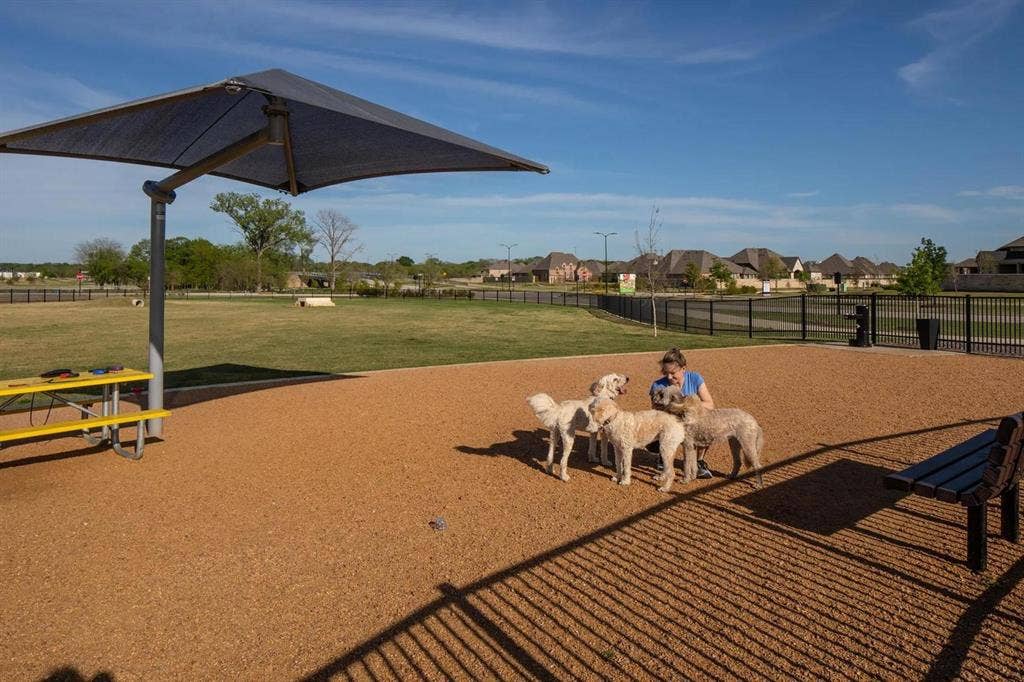 248 Bee Balm Road, McKinney, TX 75071 Old Joe Dog Park at Trinity Falls