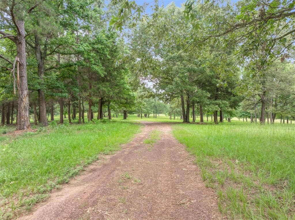 21022 US Highway 271 Highway, Gladewater, TX 75647 21022 US Highway 271 Highway, Gladewater, TX 75647