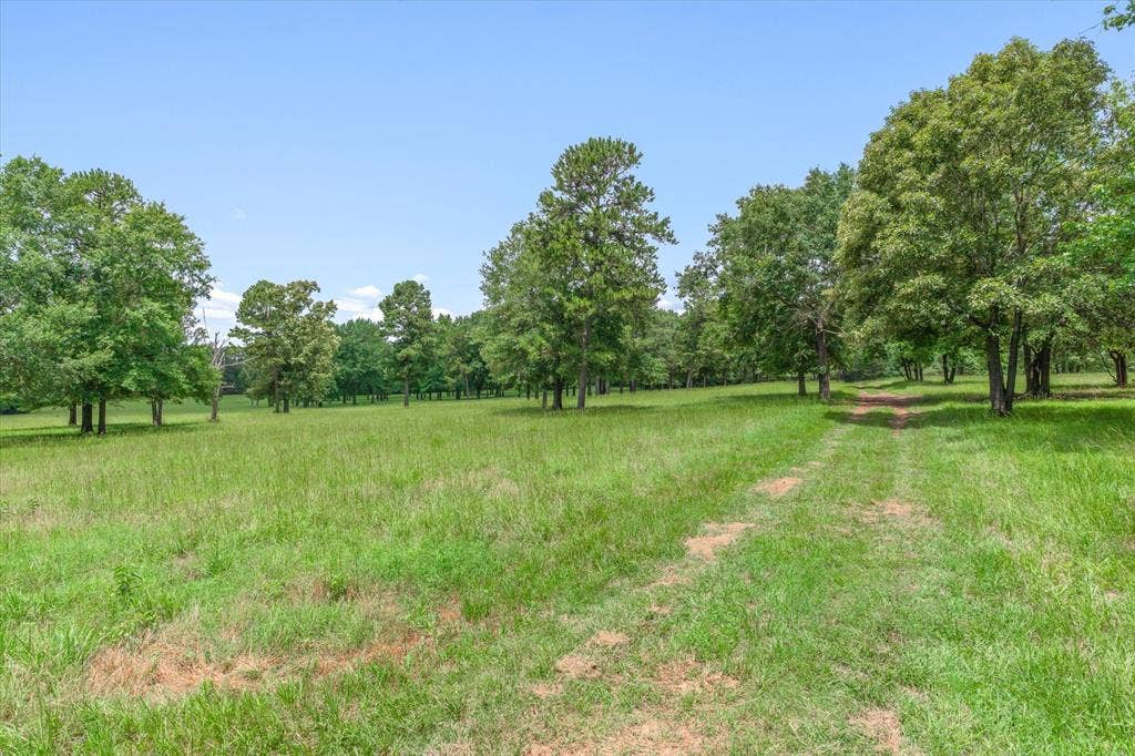 21022 US Highway 271 Highway, Gladewater, TX 75647 21022 US Highway 271 Highway, Gladewater, TX 75647