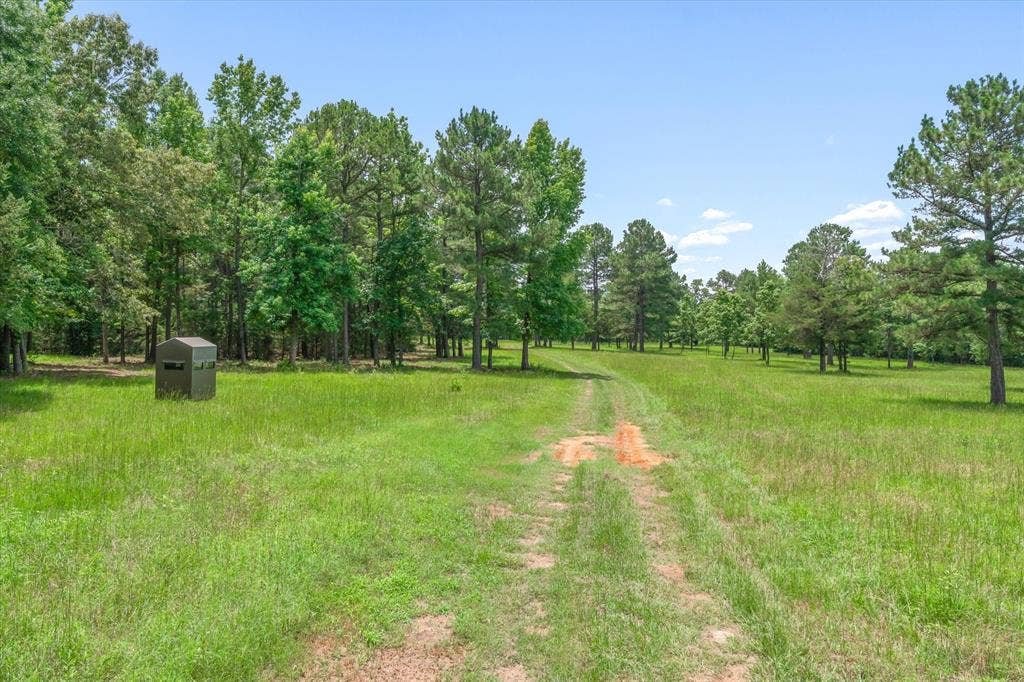 21022 US Highway 271 Highway, Gladewater, TX 75647 21022 US Highway 271 Highway, Gladewater, TX 75647