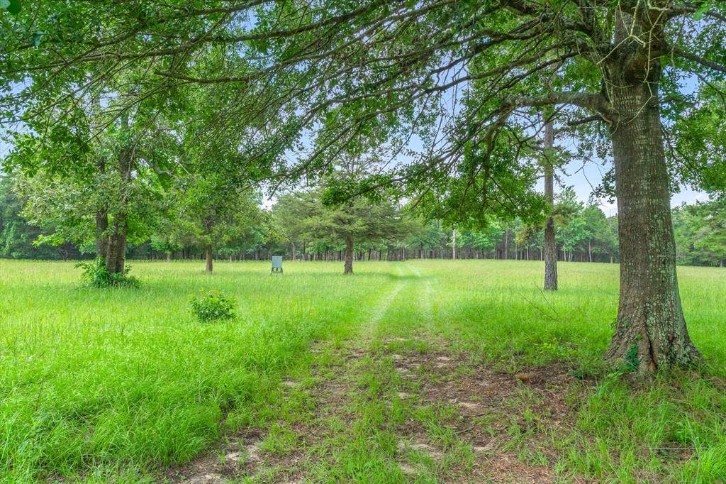 21022 US Highway 271 Highway, Gladewater, TX 75647 21022 US Highway 271 Highway, Gladewater, TX 75647