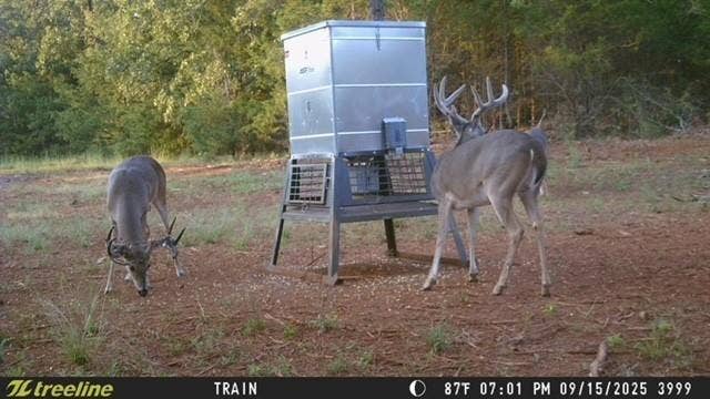 16092 County Road 440, Lindale, TX 75771 16092 County Road 440, Lindale, TX 75771