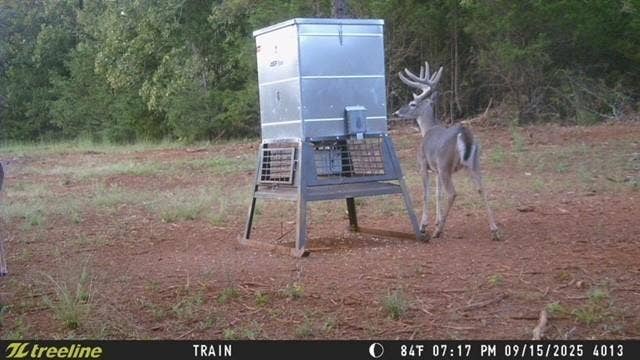 16092 County Road 440, Lindale, TX 75771 16092 County Road 440, Lindale, TX 75771