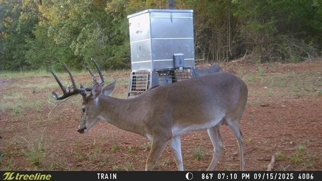 16092 County Road 440, Lindale, TX 75771 16092 County Road 440, Lindale, TX 75771