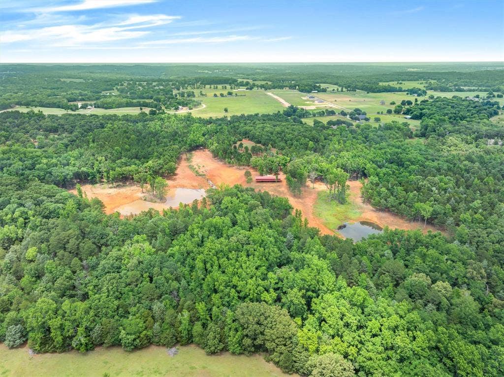 16092 County Road 440, Lindale, TX 75771 Looking North toward CR 440 from back of property, two lakes visible, loads of timber. Trails throughout.