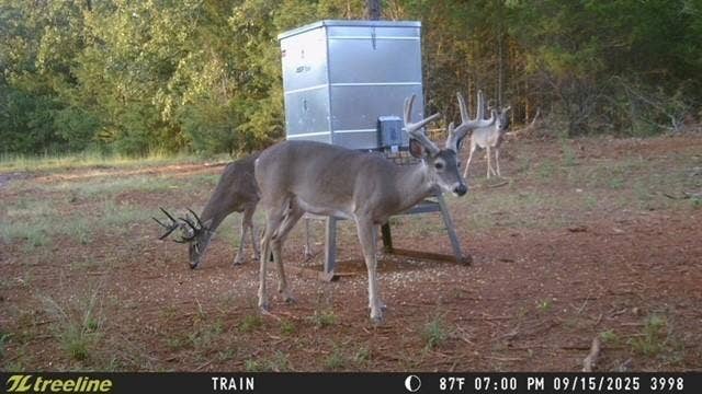 16092 County Road 440, Lindale, TX 75771 16092 County Road 440, Lindale, TX 75771