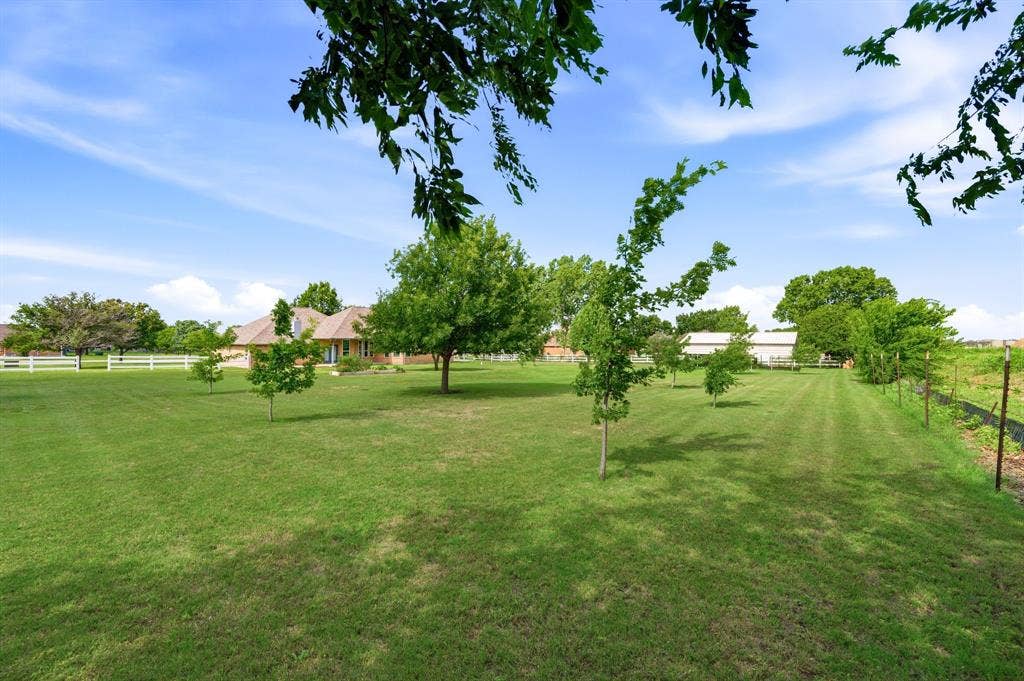 Expansive green lawn with scattered trees and a distant single-story property