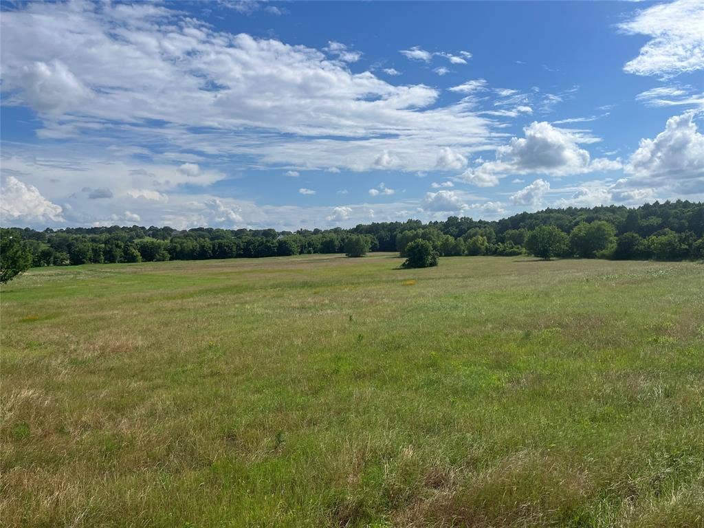 Lot 351 Grand View Drive, Athens, TX 75752 5 acres of land