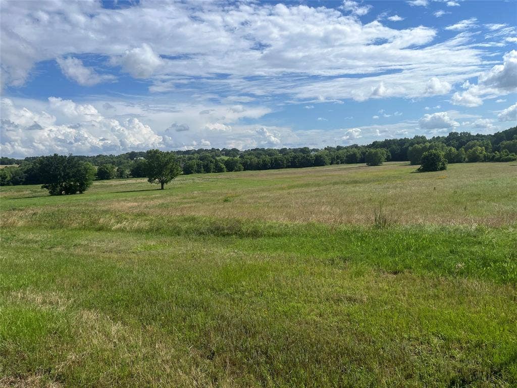 Lot 351 Grand View Drive, Athens, TX 75752 5 acres of land , lot 351