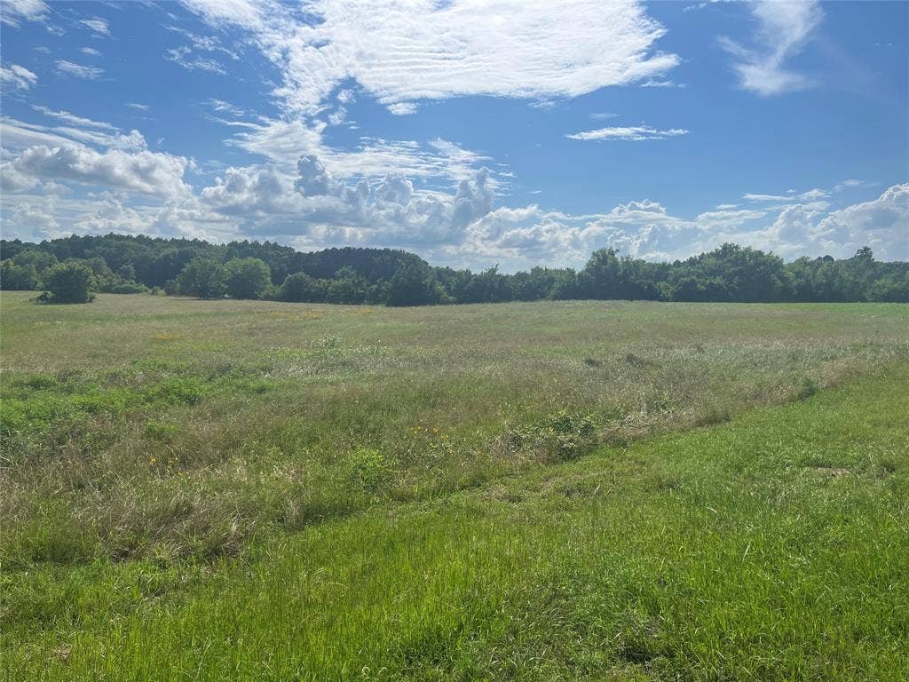Lot 351 Grand View Drive, Athens, TX 75752 5 acres of land bring your building plans