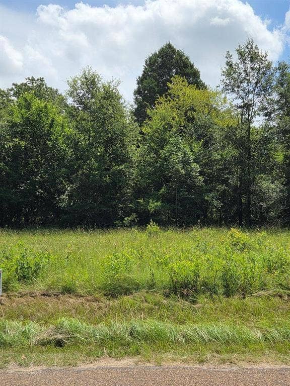 166 DEER RUN Road, Mabank, TX 75156 166 DEER RUN Road, Mabank, TX 75156